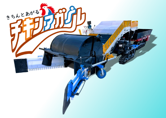 チキンアガール