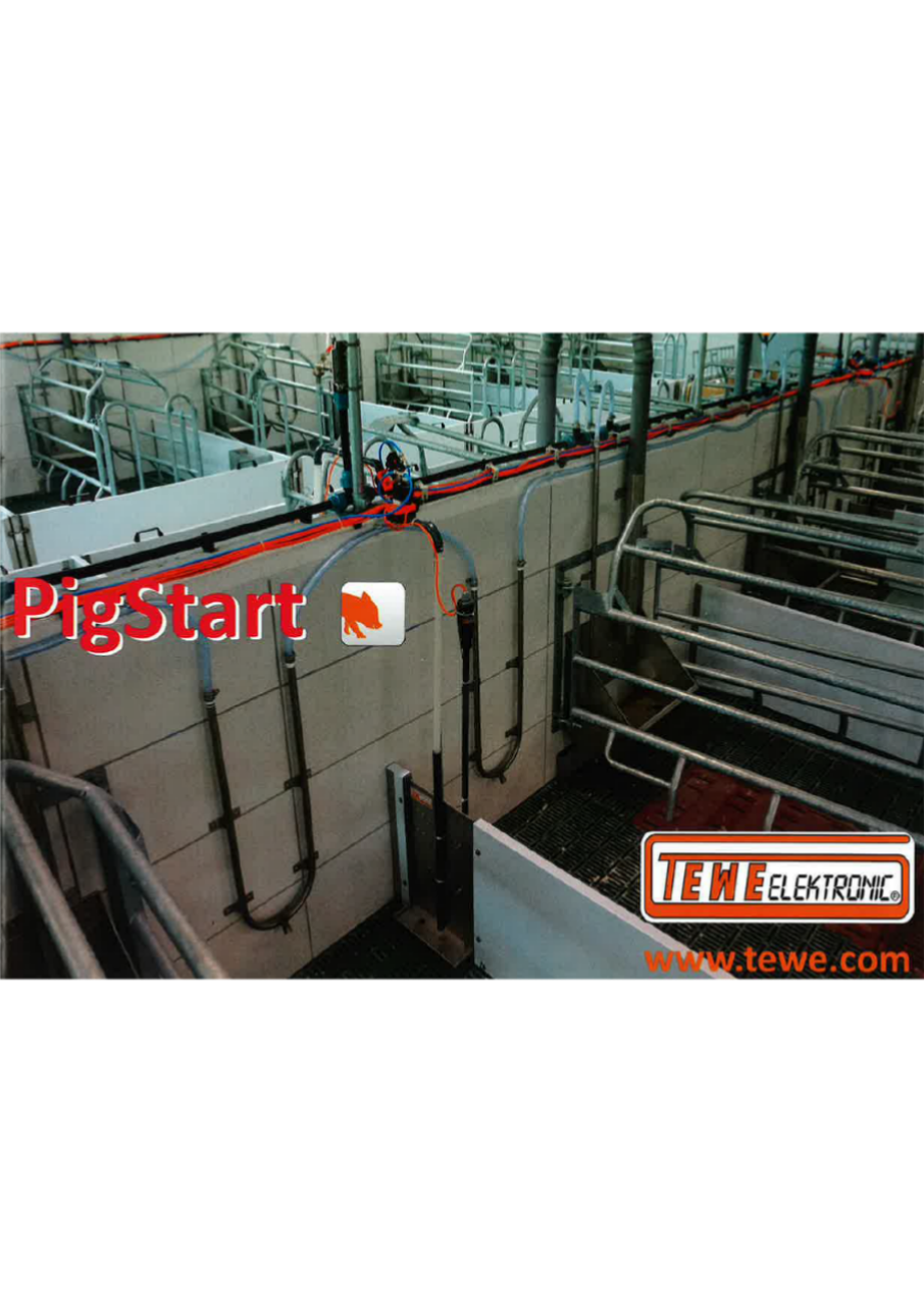 TEWEピッグスタート